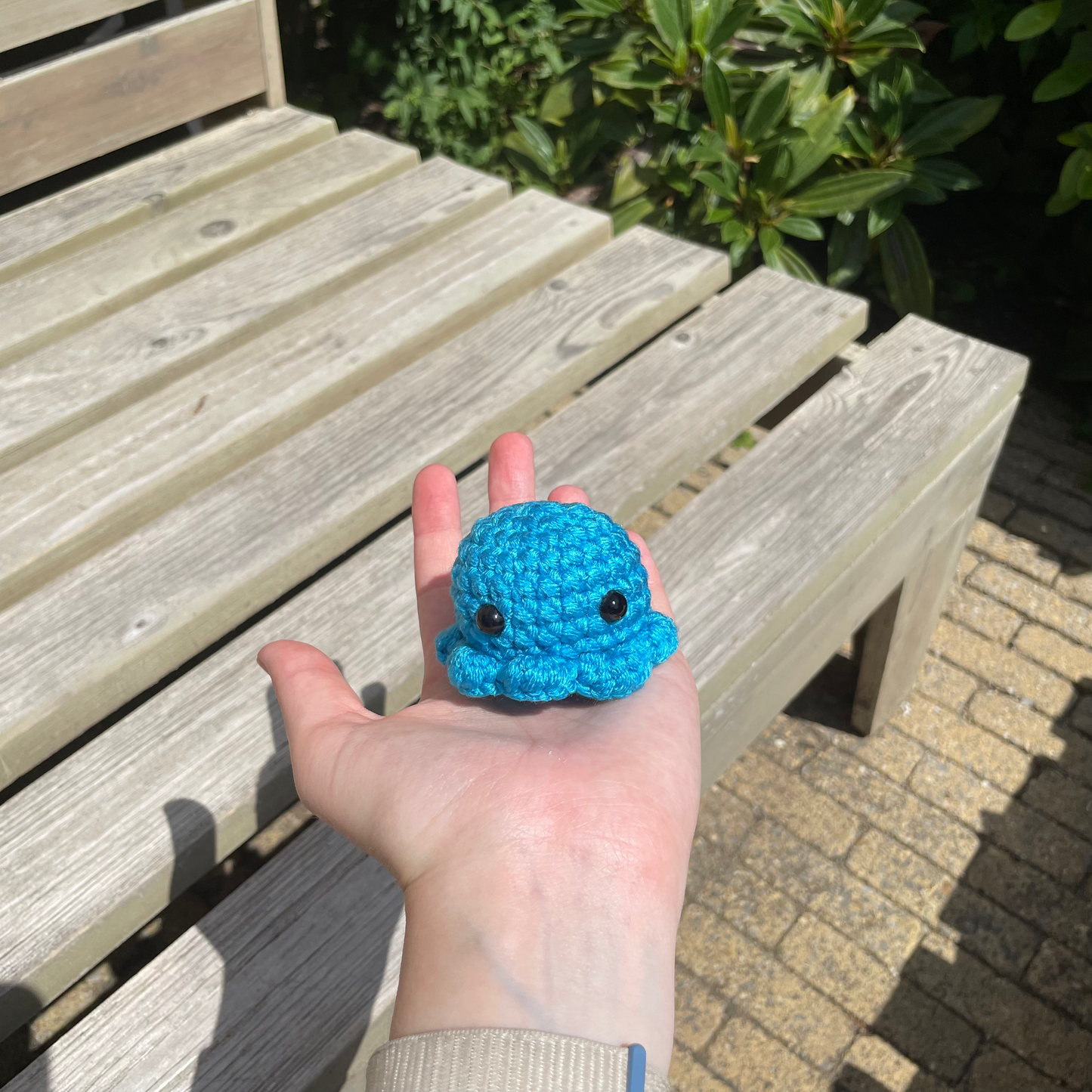 Pocket Octo
