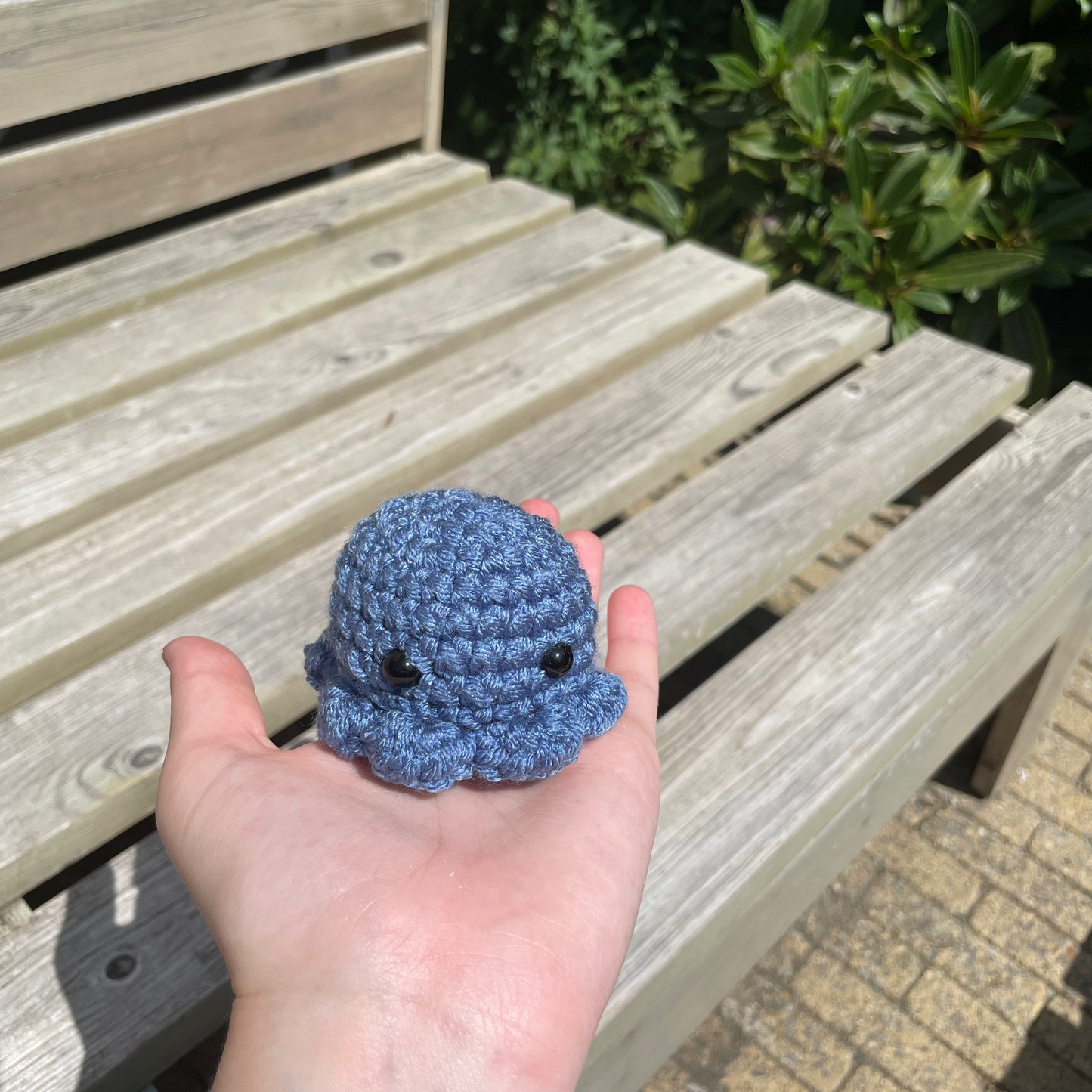 Pocket Octo