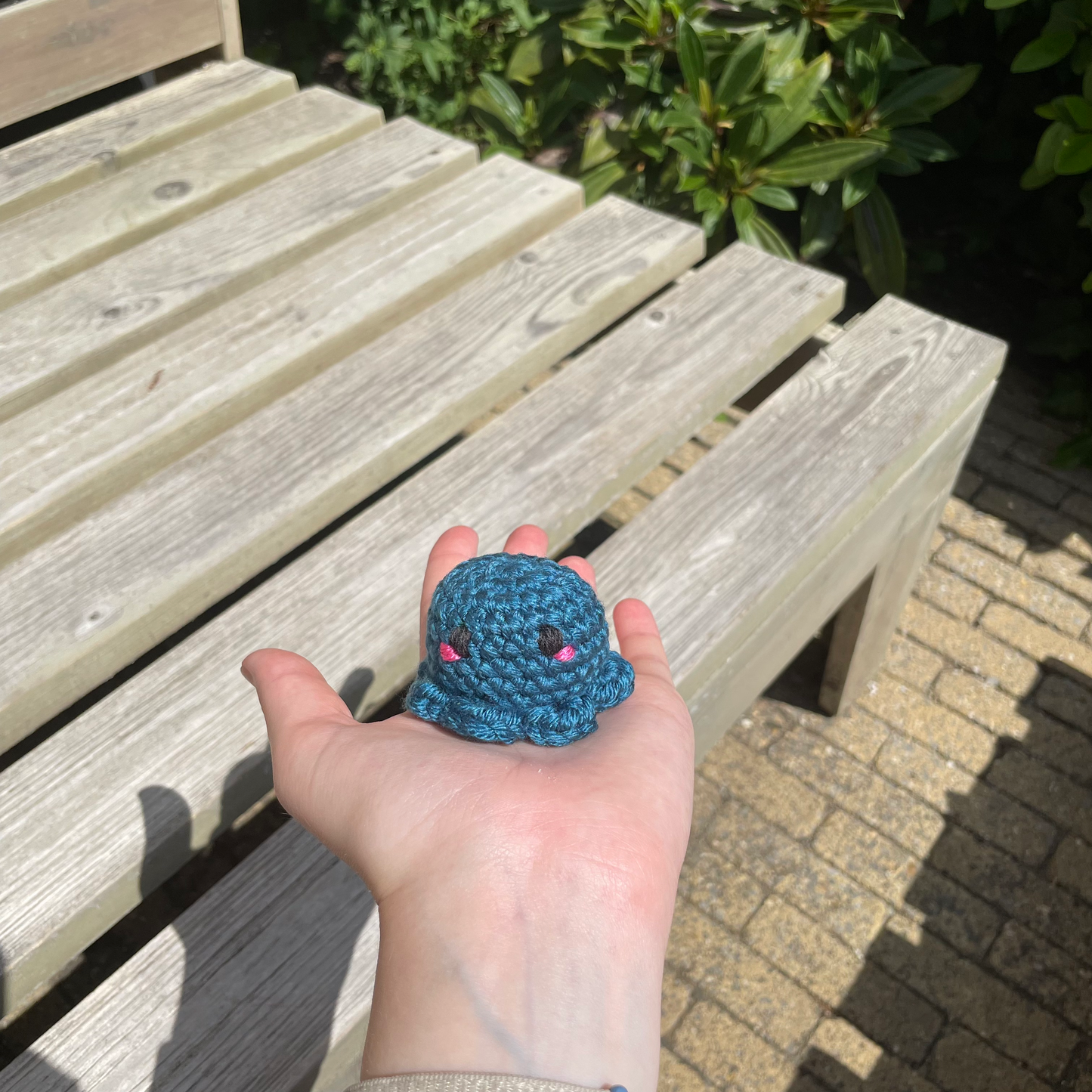 Pocket Octo