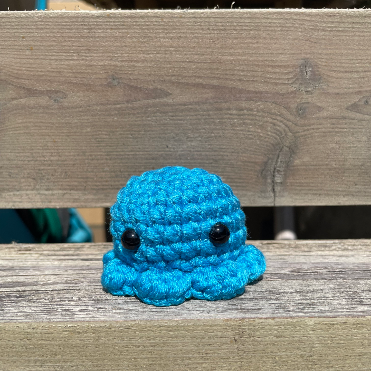 Pocket Octo