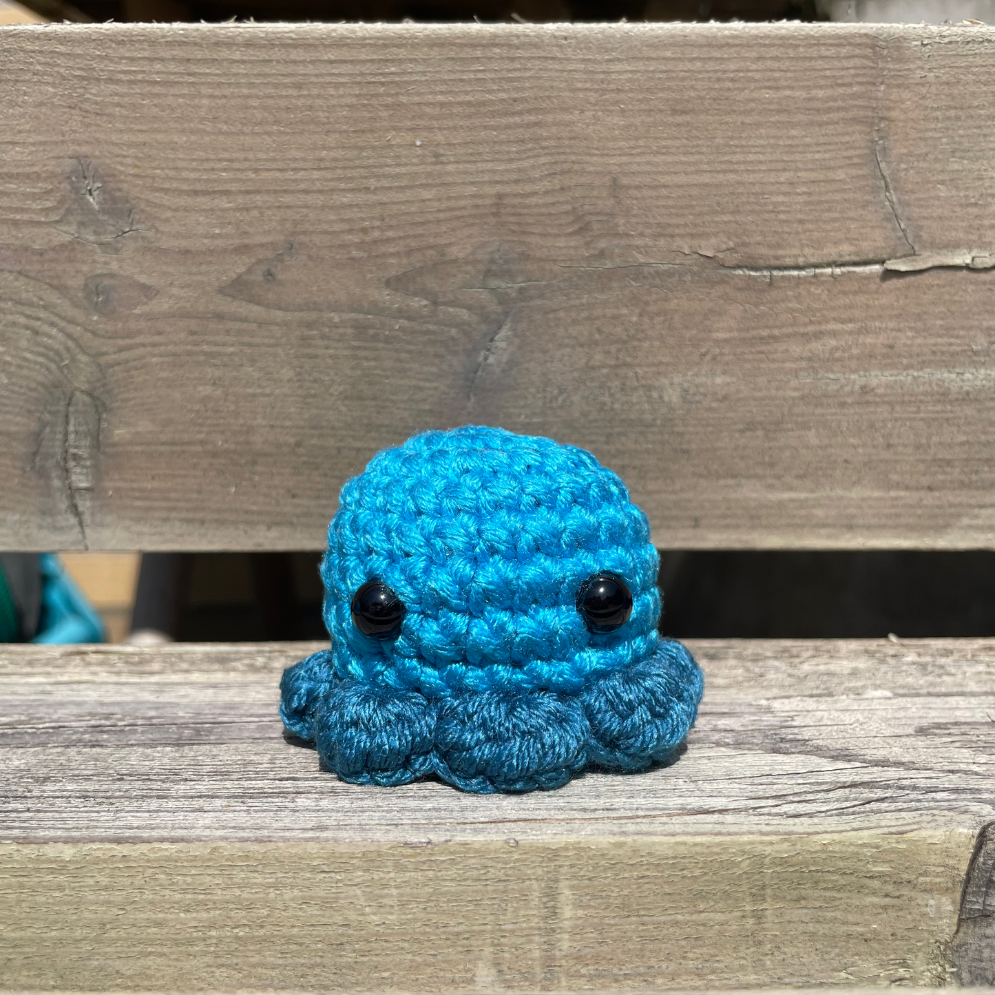 Pocket Octo