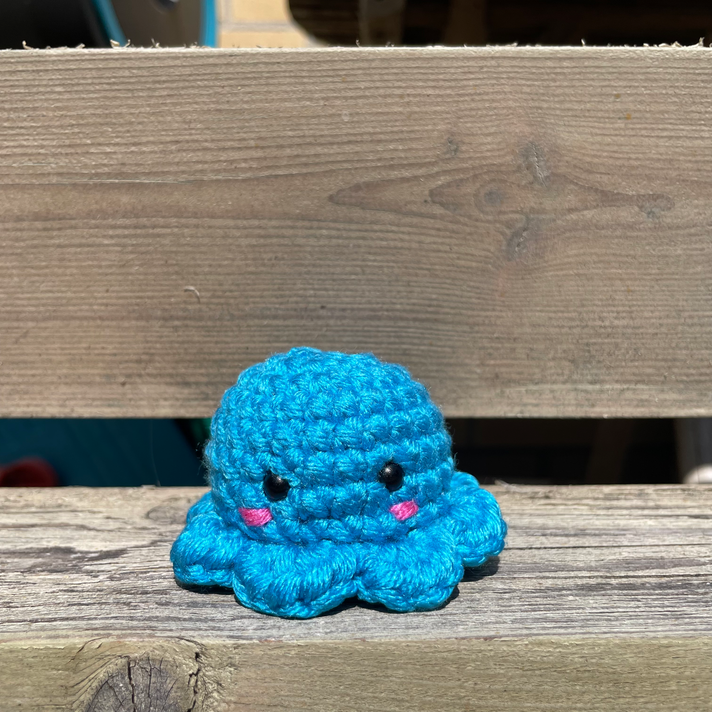 Pocket Octo