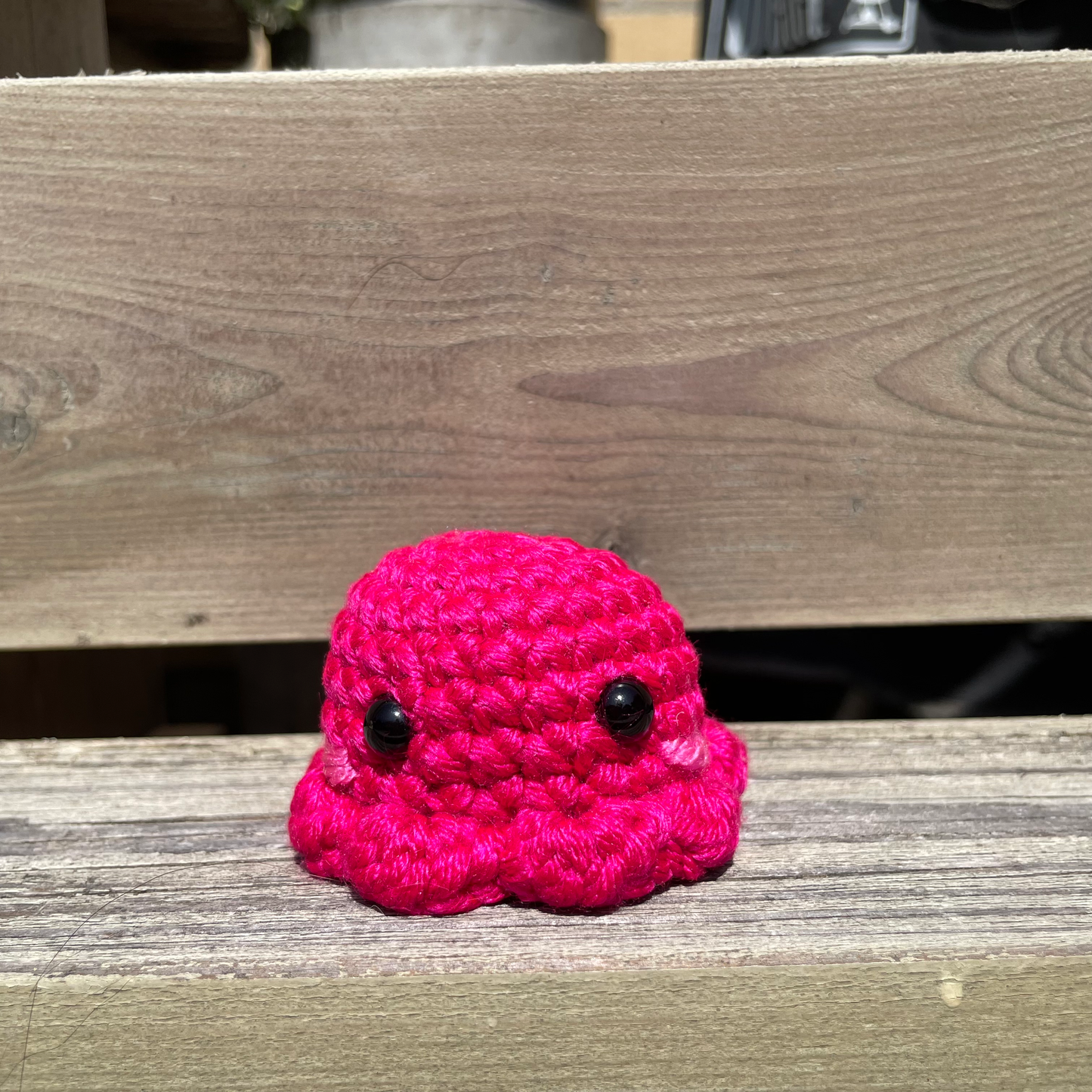 Pocket Octo