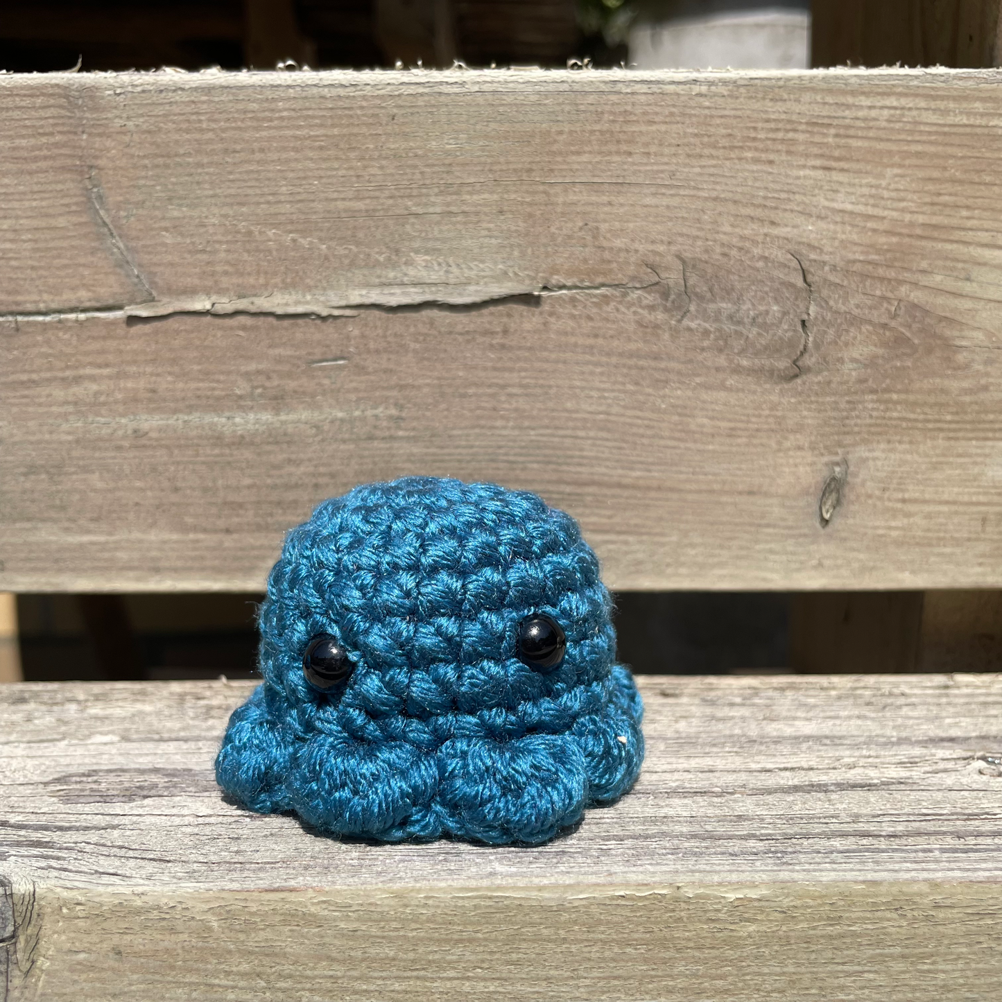 Pocket Octo