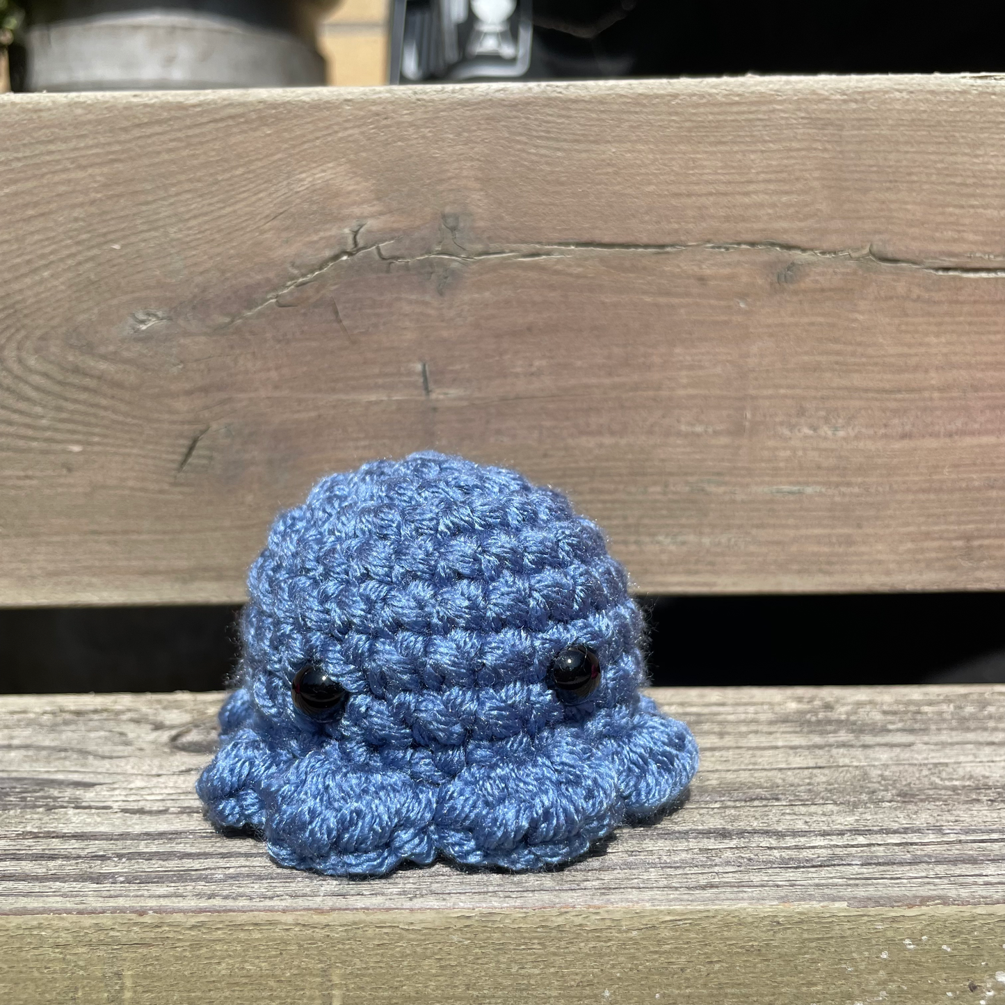 Pocket Octo
