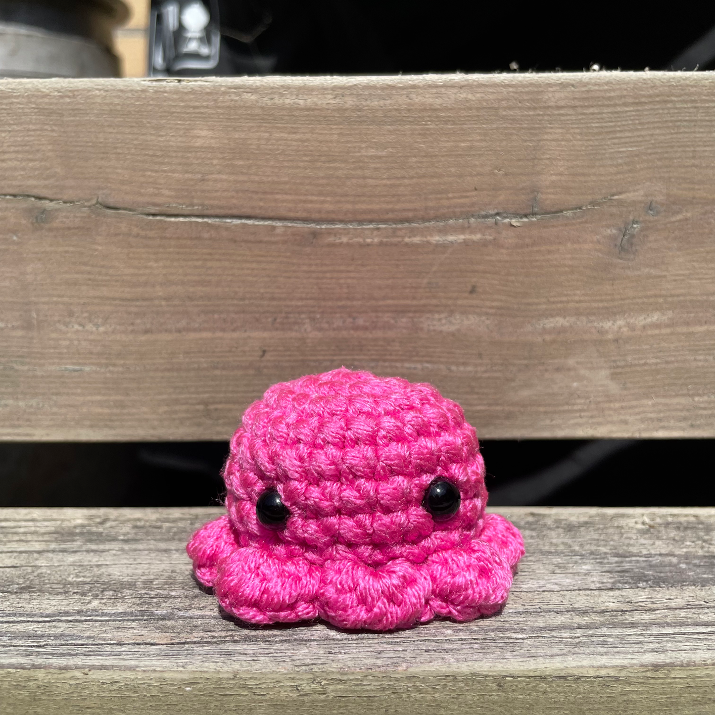 Pocket Octo