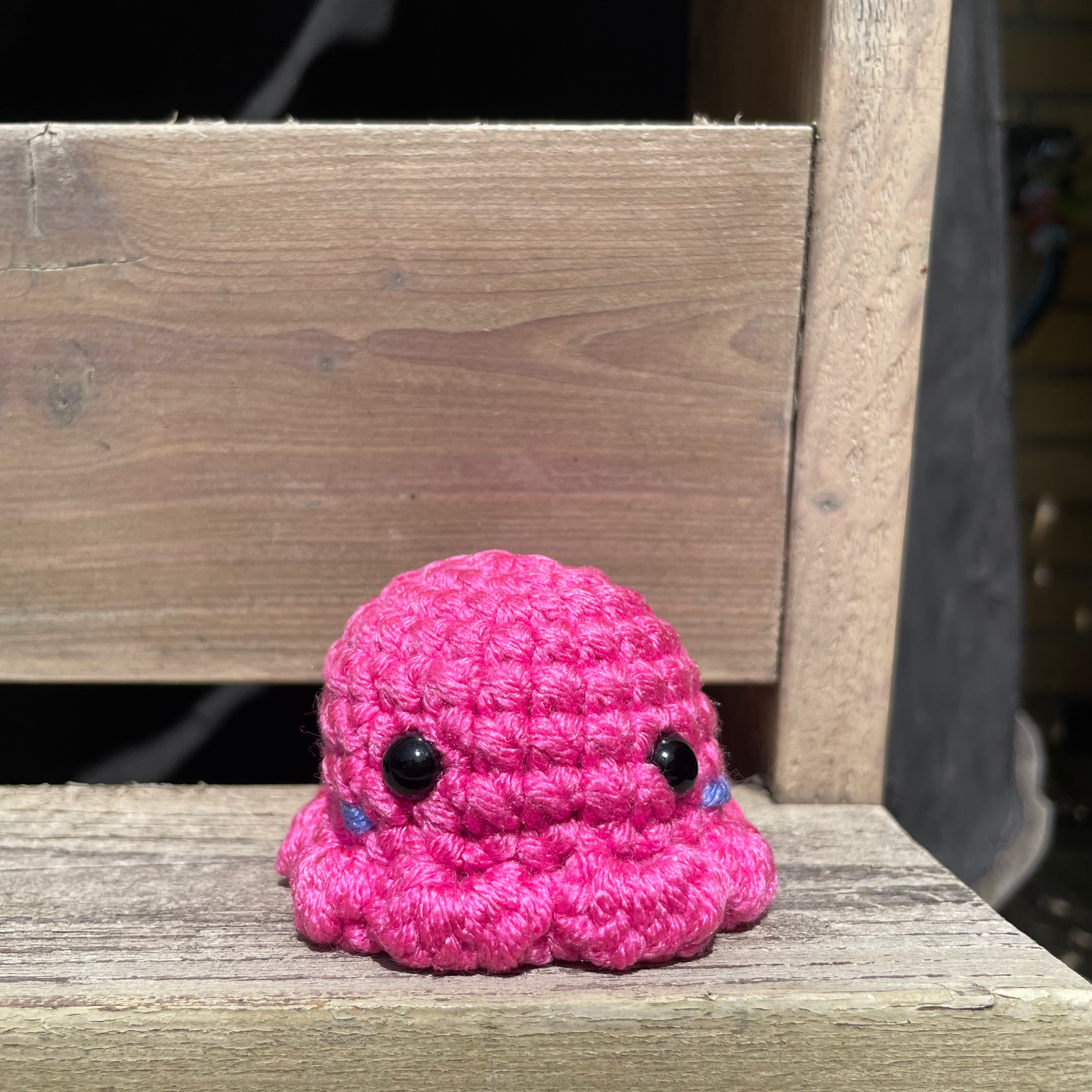 Pocket Octo