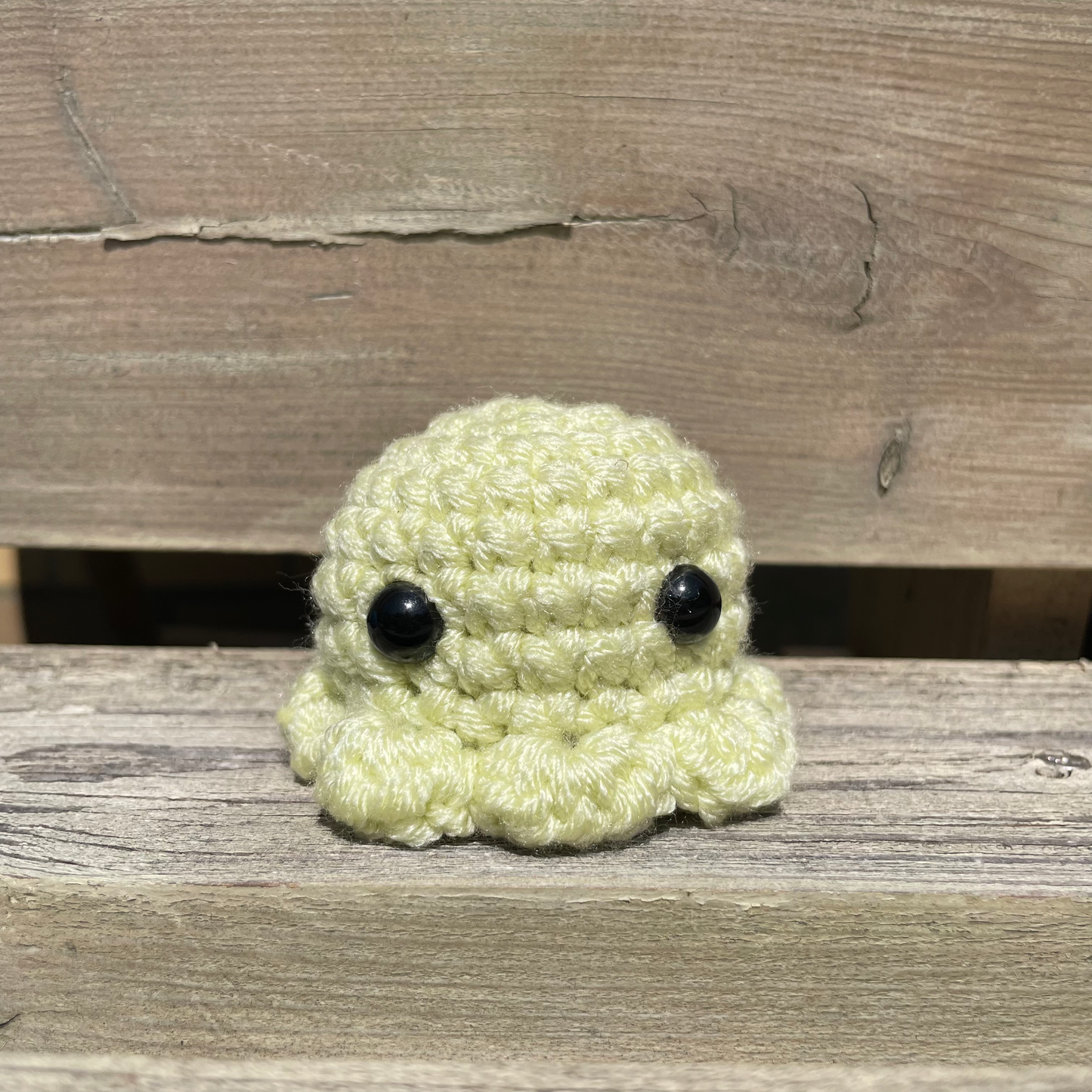 Pocket Octo