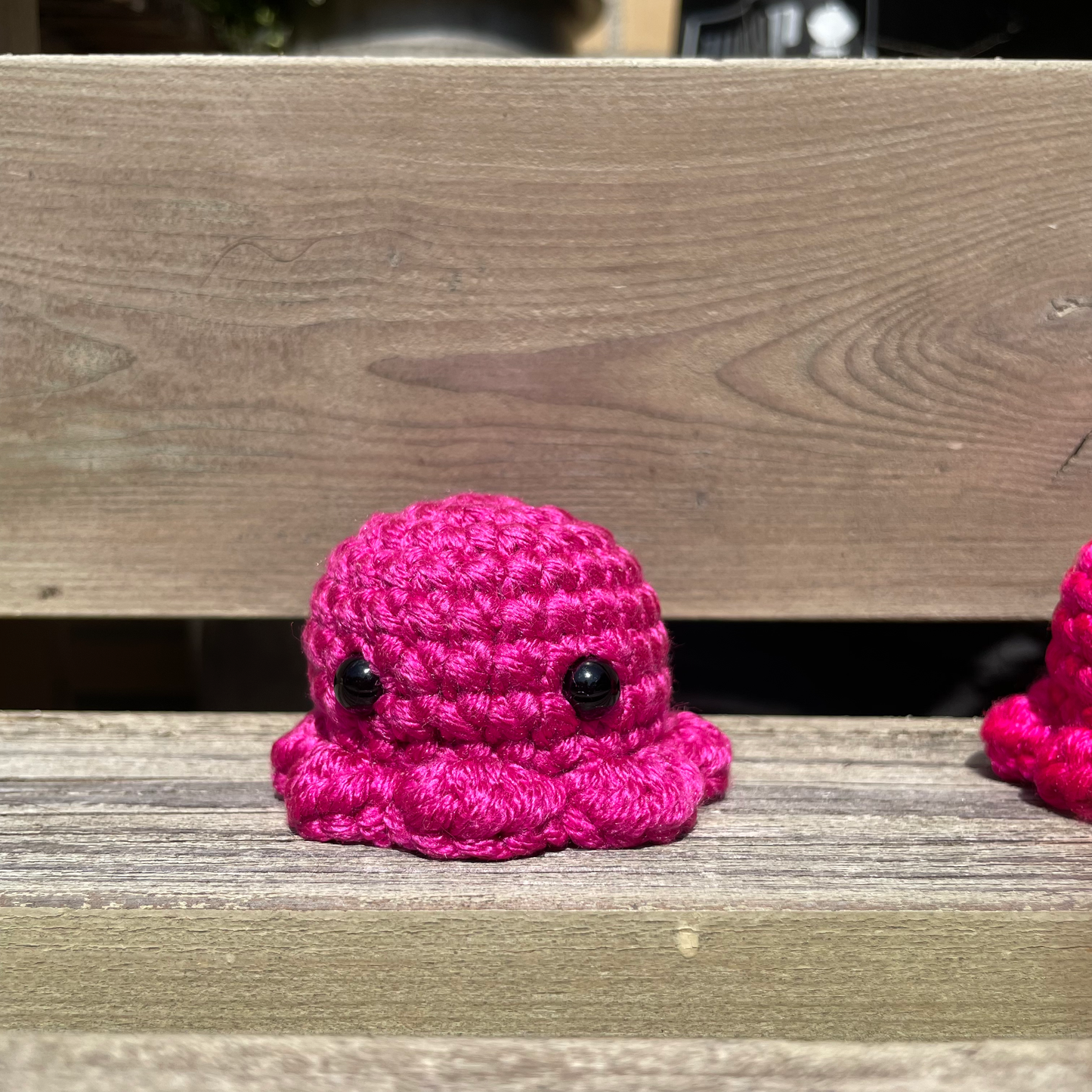 Pocket Octo