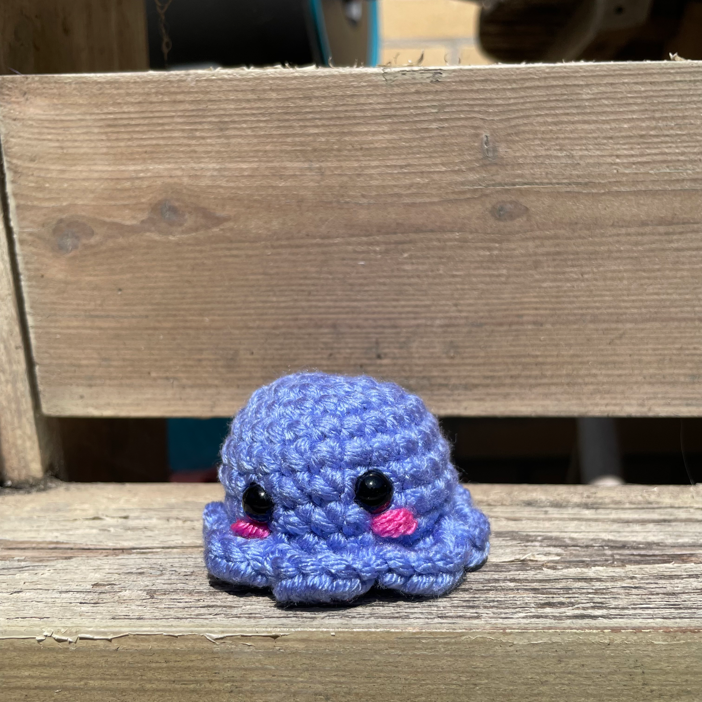 Pocket Octo