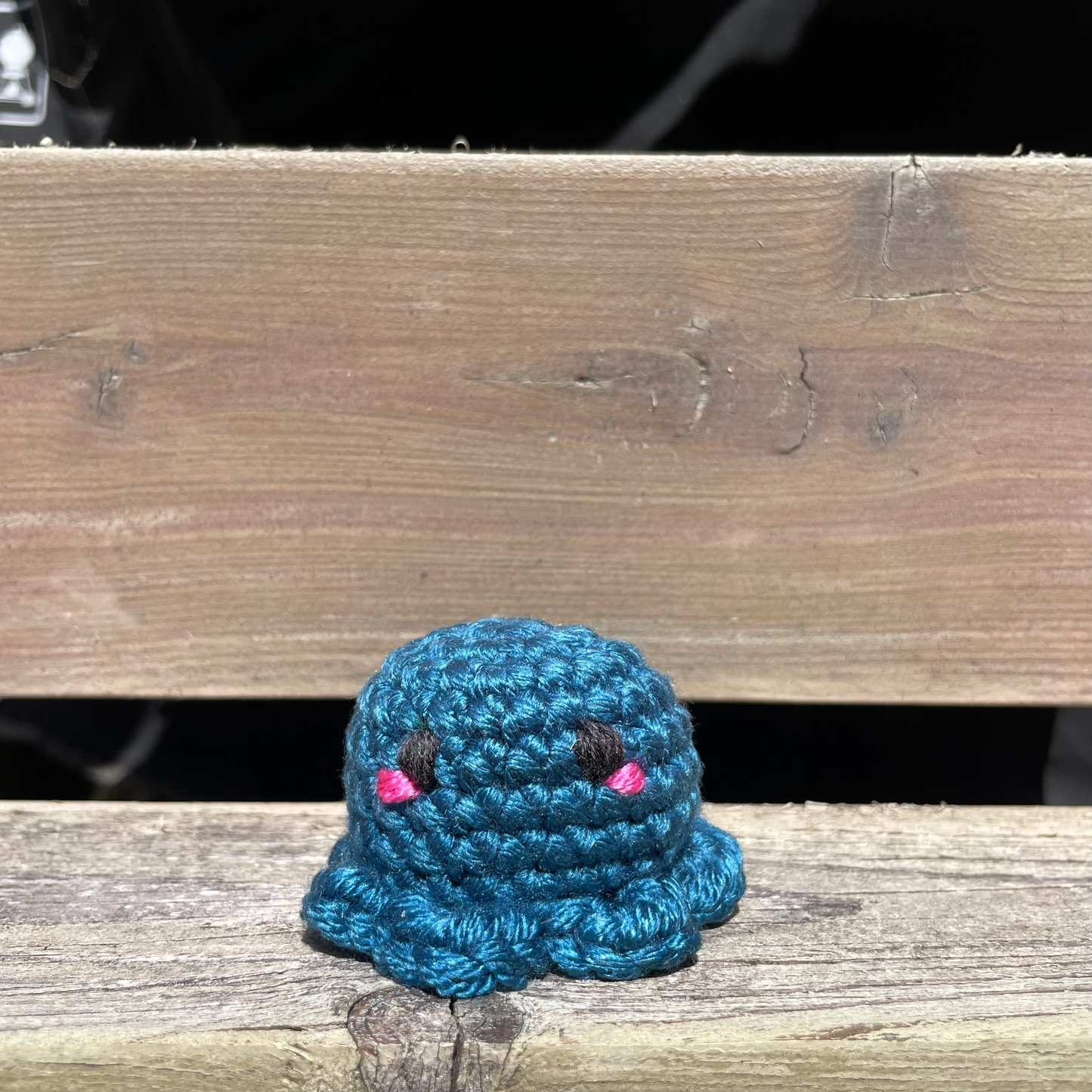 Pocket Octo