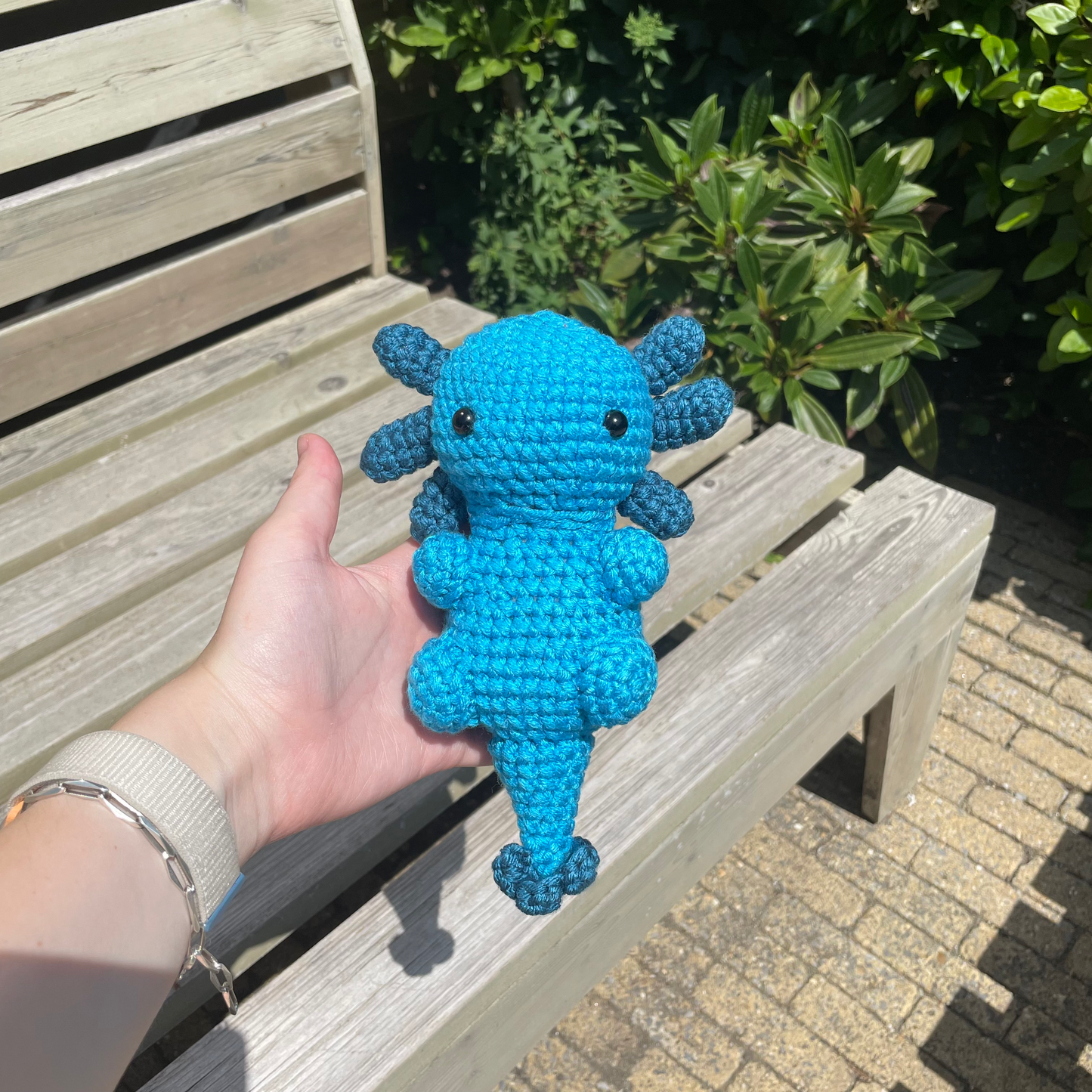 Axolotl