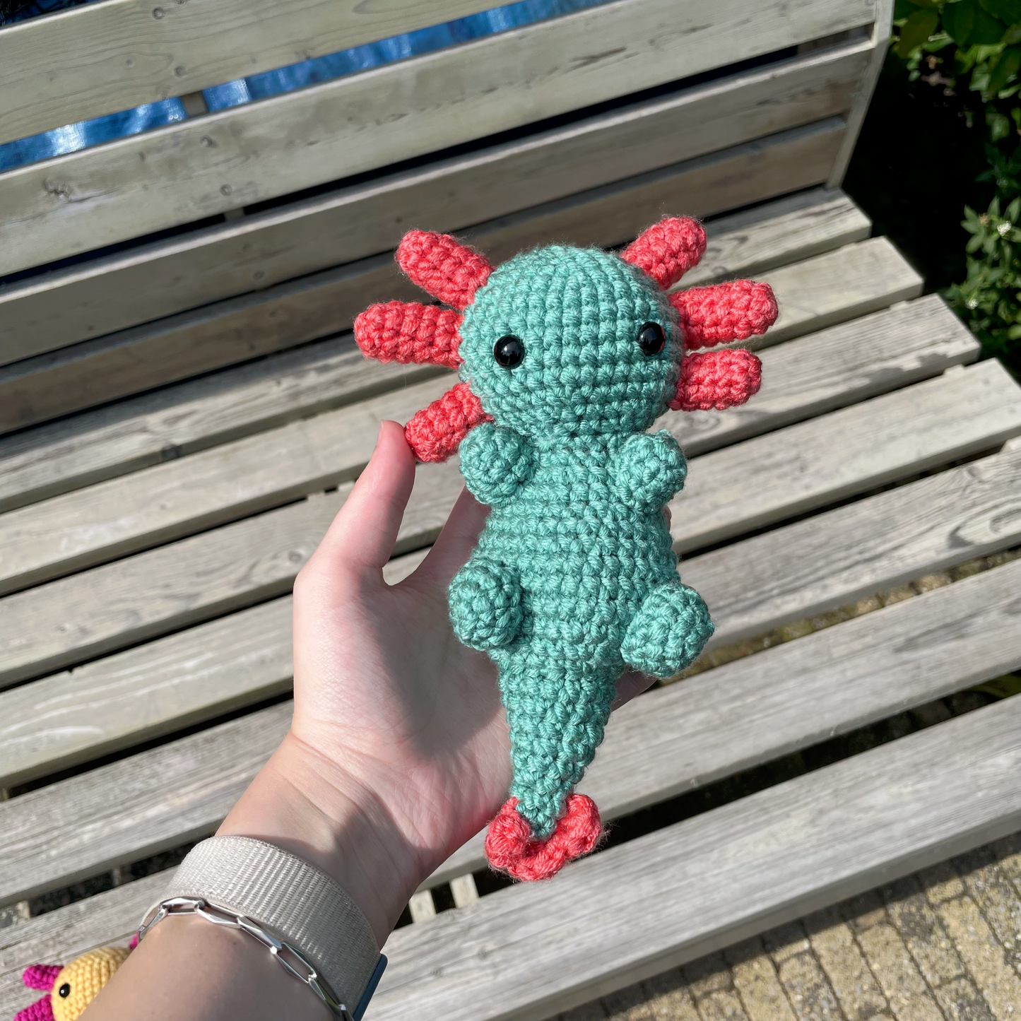 Axolotl