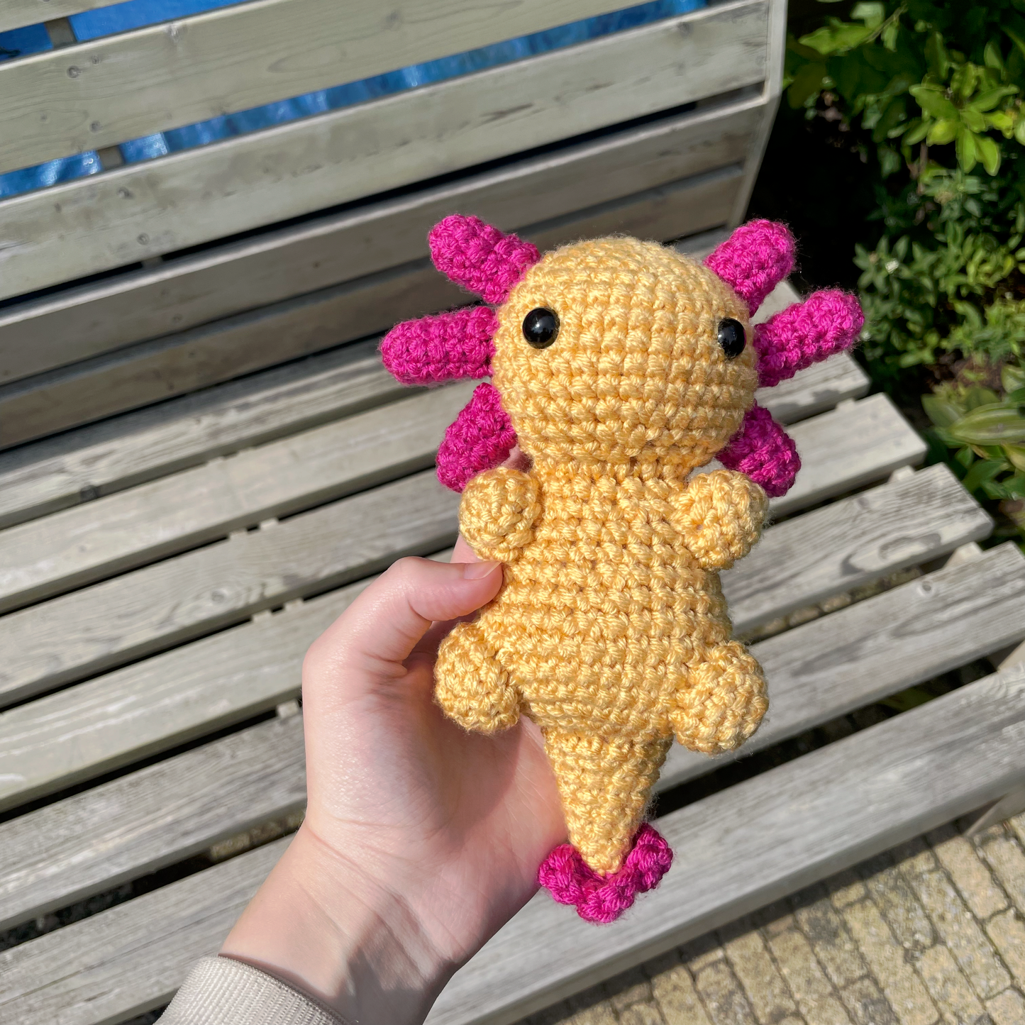 Axolotl