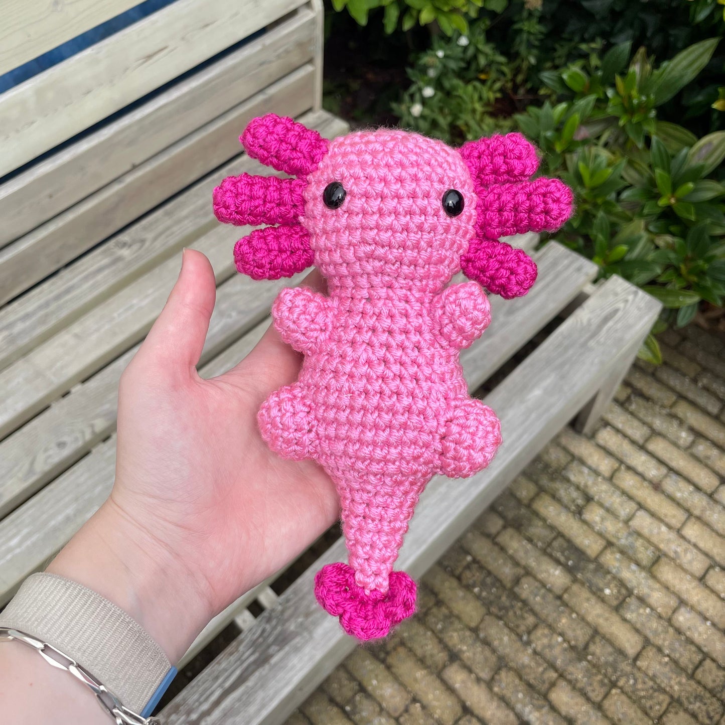 Axolotl