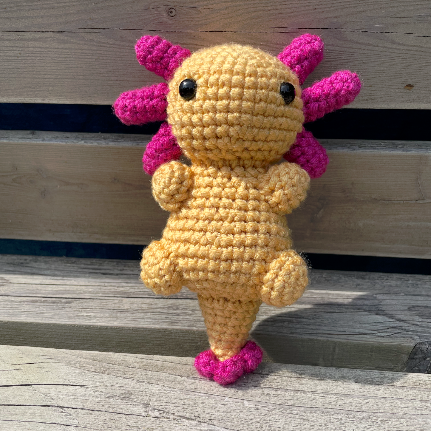 Axolotl