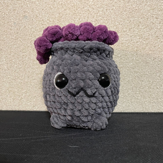 🧙‍♀️🫧 Kelly Cauldron