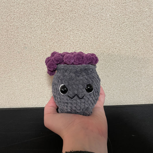 🧙‍♀️🫧 Kelly Cauldron