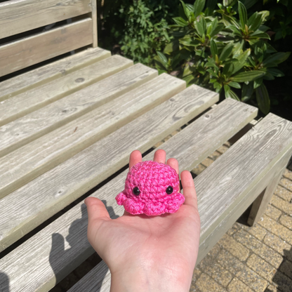 Pocket Octo